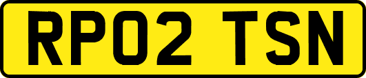 RP02TSN