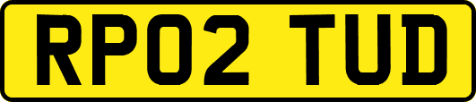RP02TUD