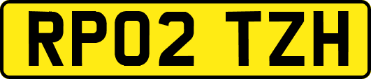 RP02TZH