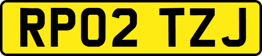 RP02TZJ