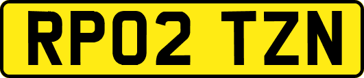 RP02TZN