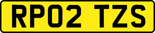 RP02TZS