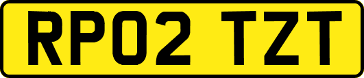 RP02TZT