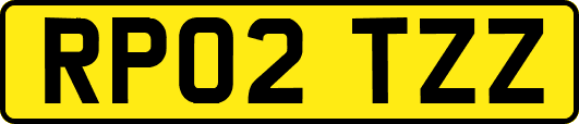 RP02TZZ