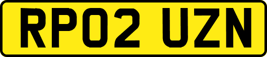 RP02UZN