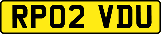 RP02VDU