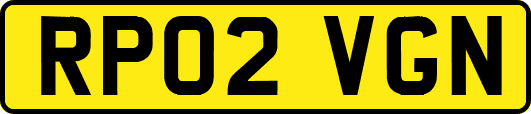 RP02VGN
