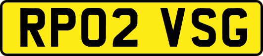RP02VSG
