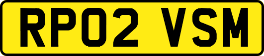 RP02VSM