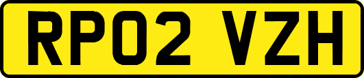 RP02VZH