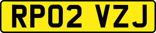 RP02VZJ