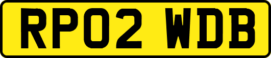 RP02WDB