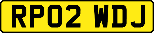 RP02WDJ