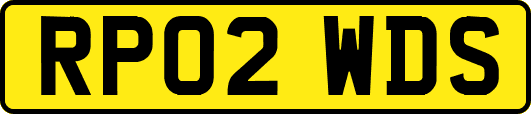 RP02WDS
