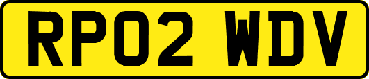 RP02WDV