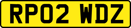 RP02WDZ