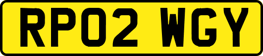 RP02WGY