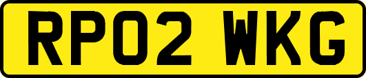 RP02WKG