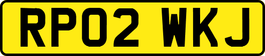 RP02WKJ