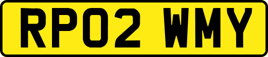RP02WMY