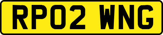 RP02WNG