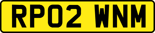 RP02WNM
