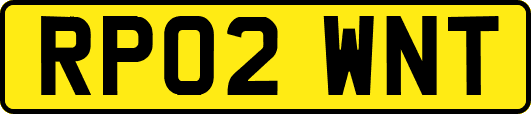 RP02WNT