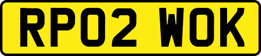 RP02WOK