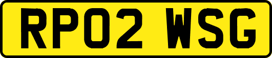 RP02WSG