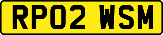 RP02WSM