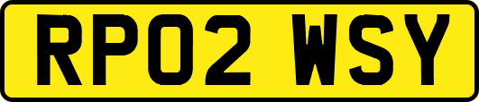 RP02WSY