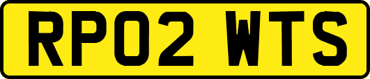 RP02WTS