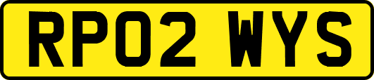 RP02WYS