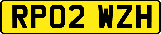RP02WZH