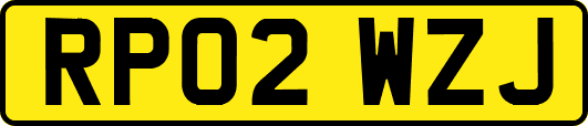 RP02WZJ