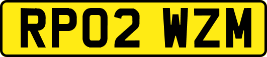 RP02WZM