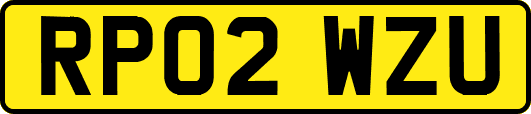 RP02WZU