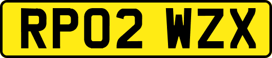 RP02WZX