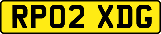 RP02XDG