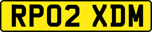 RP02XDM