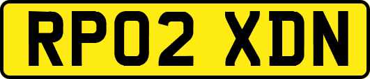 RP02XDN