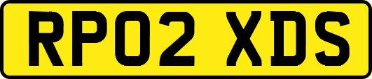 RP02XDS