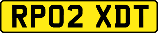 RP02XDT