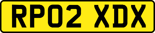 RP02XDX