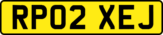 RP02XEJ