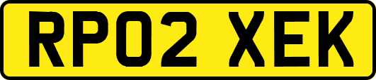 RP02XEK