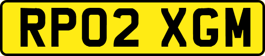 RP02XGM