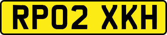 RP02XKH