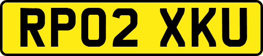 RP02XKU