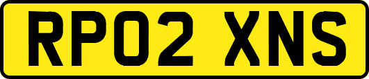 RP02XNS